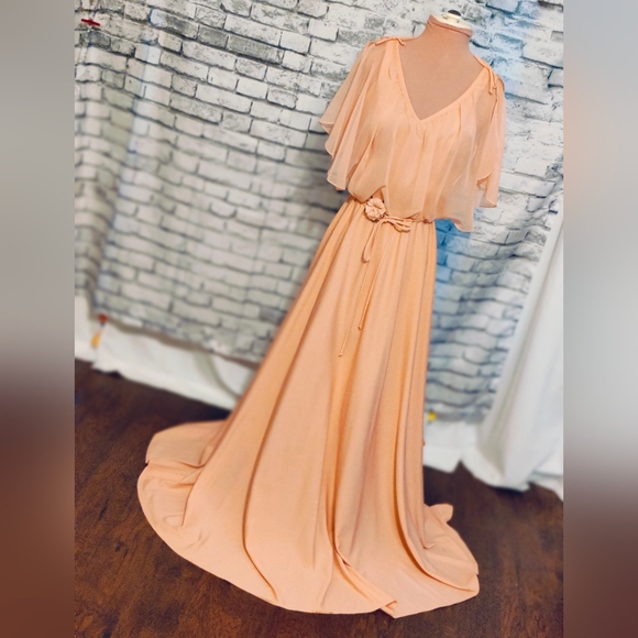 Vintage 70s melon Maxi Dress chiffon cape Super full   skirt shoulder ties SM - Picture 5 of 12